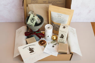 Spirit Healer Holiday Kit