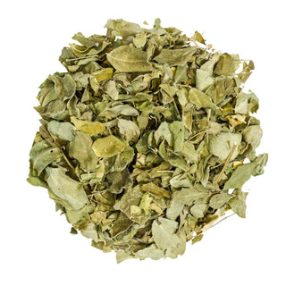 Moringa Orgánica