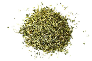 Escutelaria Orgánica